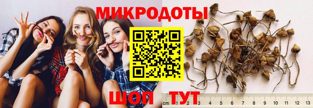 Юрга  Псилоцибиновые грибы GOLDEN TEACHER  Вход с VPN 
